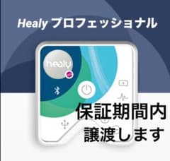 52.8万 保証内 Healy ヒーリープロフェッショナル 波動調整 オーラ