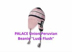 PALACE Union Peruvian Beanie ピンク - メルカリ