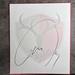 安い鹿島アントラーズ サイン色紙の通販商品を比較 | ショッピング情報