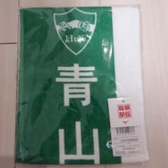 第100回記念 箱根駅伝 応援マフラータオル 青山学院大学 - メルカリ