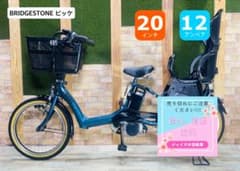 2018 超人気色 ビッケ ブリヂストン子供乗せ電動アシスト自転車 ZH3107