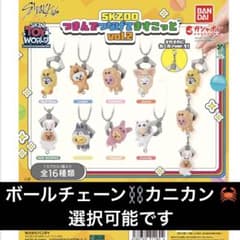 Stray Kids スキズ つまんでつなげてますこっと コンプ SKZOO - メルカリ