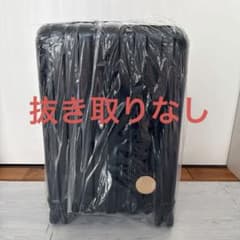 しまむら アナ雪 エルサ 福袋 パッピーバック ちはる キャリーケース5