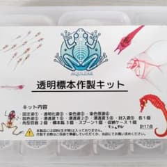 m35288758182_1.jpg?1743839117