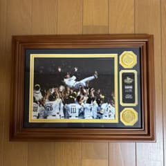 ソフトバンクホークス 2014年 パ・リーグ優勝記念フォトプラーク