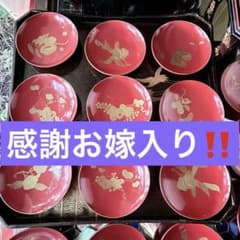 新春特別価格 ‼️高蒔絵『木の実』絵がわり引盃18客➕1プレゼント桐箱