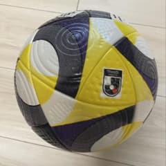 m33905144600_1.jpg?1760171014