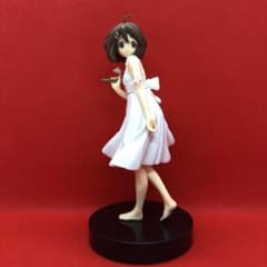 m72295907027_1.jpg?1710676853