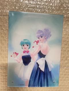 魔法の妖精ペルシャ A5サイズアクリルパネル - メルカリ