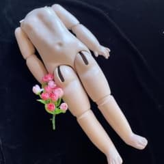 未使用 ビスクドール用 コンポジション ボディ48センチ - メルカリ