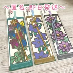 m82976497815_1.jpg?1760357928