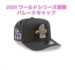 m95534586097_1.jpg?1762160382