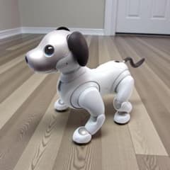 M0116D1 aibo ERS-1000 エンタテインメントロボット - メルカリ
