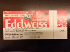 2026年最新】エーデルワイス リフト券の人気アイテム - メルカリ