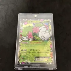 2026年最新】シェイミ ポケキュンの人気アイテム - メルカリ