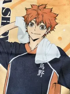 2026年最新】日向翔陽タオルの人気アイテム - メルカリ