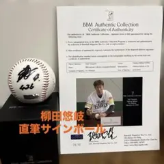 2026年最新】柳田悠岐 サインボールの人気アイテム - メルカリ