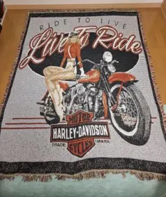2026年最新】Harley-Davidson ラグ・カーペット・マットの人気アイテム