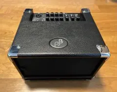 2026年最新】phil jones bass cubの人気アイテム - メルカリ