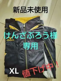 2026年最新】Mizuno Pro MAJOR QUALITYの人気アイテム - メルカリ