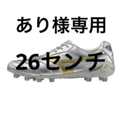 2026年最新】モレリアdnaの人気アイテム - メルカリ