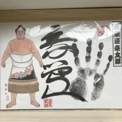 2026年最新】豪栄道の人気アイテム - メルカリ