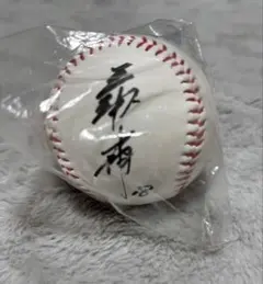 2026年最新】サインボール 横浜 三浦大輔の人気アイテム - メルカリ