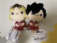 2026年最新】孤爪研磨 ぬいぐるみ もちぴこの人気アイテム - メルカリ