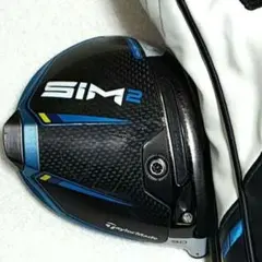 2026年最新】sim ドライバー ヘッドのみ 9.0の人気アイテム - メルカリ