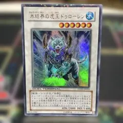 2026年最新】氷結界の虎王ドゥローレンの人気アイテム - メルカリ