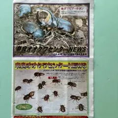 2026年最新】奈良オオクワセンターの人気アイテム - メルカリ