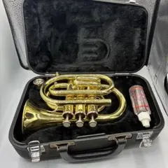 2026年最新】jupiter jpt-416の人気アイテム - メルカリ