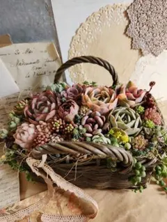 2026年最新】多肉寄せ植えそのまま飾れるの人気アイテム - メルカリ