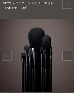 2026年最新】soyo ブラシの人気アイテム - メルカリ