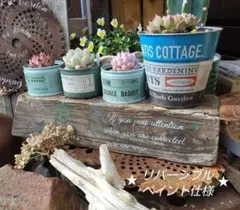 2026年最新】ジャンクガーデンの人気アイテム - メルカリ