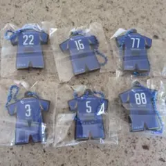 2026年最新】町田ゼルビア キーホルダーの人気アイテム - メルカリ