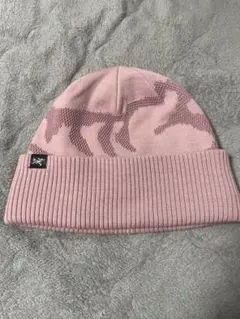 2026年最新】ARC'TERYX カラー：ピンク系 ニット帽・ビーニーの人気