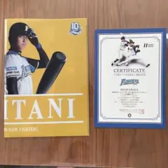 2026年最新】大谷翔平 クリアファイル 日ハムの人気アイテム - メルカリ