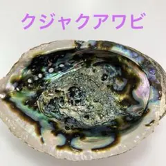 2026年最新】アワビ 磨きの人気アイテム - メルカリ