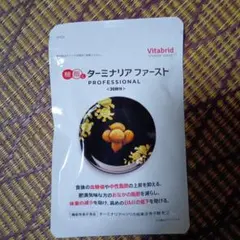 2026年最新】ターミナリア ファーストの人気アイテム - メルカリ