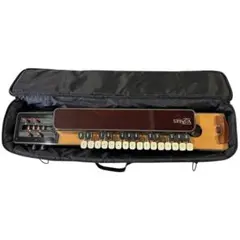 2026年最新】ライリッシュ大正琴の人気アイテム - メルカリ