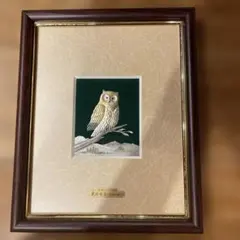 2026年最新】武比古 フクロウの人気アイテム - メルカリ