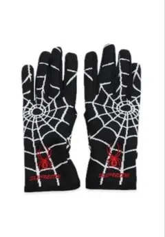 2026年最新】supreme spyder gloveの人気アイテム - メルカリ