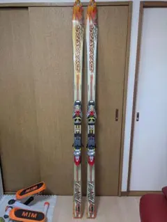 2026年最新】DYNASTARの人気アイテム - メルカリ