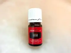 2026年最新】聖書の中の10のオイルの人気アイテム - メルカリ