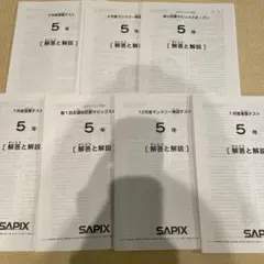 2026年最新】サピックス 6年 年間テストの人気アイテム - メルカリ