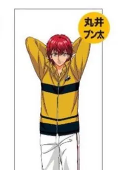 2026年最新】等身大タペストリー テニスの王子様の人気アイテム - メルカリ