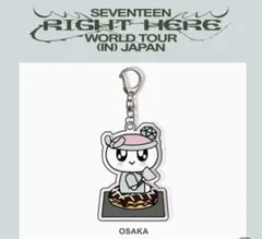 2026年最新】seventeen ボンボンイ 大阪の人気アイテム - メルカリ