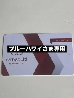 2026年最新】ルミクスA9の人気アイテム - メルカリ