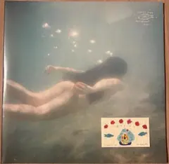 2026年最新】アダンの風 レコードの人気アイテム - メルカリ